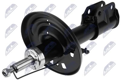 Amortizators NTY A-RE-042