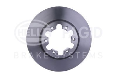 Bremžu diski HELLA PAGID 8DD 355 118-481
