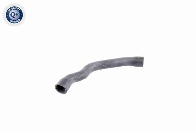 Шланг радиатора VAICO V30-2099