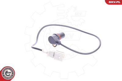 Датчик импульсов ESEN SKV 17SKV213