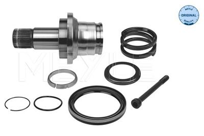 Atlokvārpsta, Diferenciālis MEYLE 100 498 0244