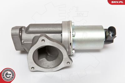 Клапан возврата ОГ ESEN SKV 14SKV054
