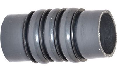 Pūtes sistēmas gaisa caurule BUGIAD 88736