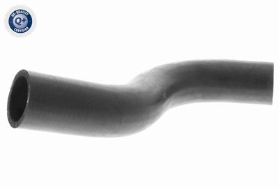 Radiatora cauruļvads VAICO V30-0701