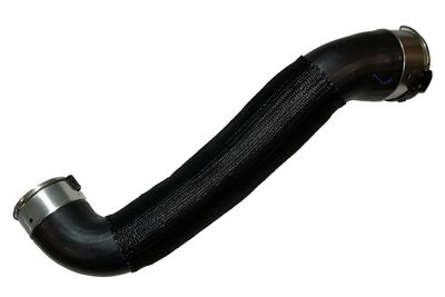 Pūtes sistēmas gaisa caurule BUGIAD 81848