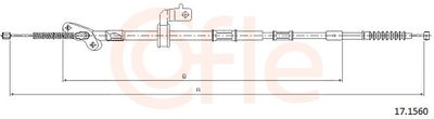  COFLE 17.1560