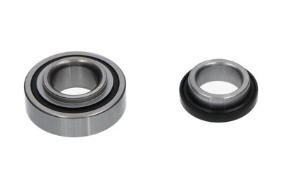 Комплект подшипника ступицы колеса KAVO PARTS WBK-1507