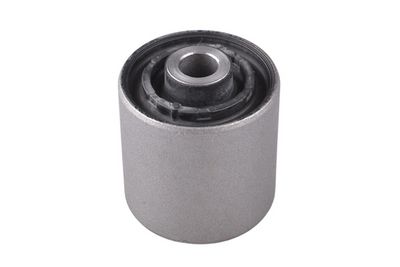 Piekare, Šķērssvira TEDGUM 00056423