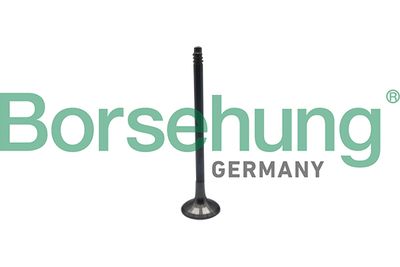 Выпускной клапан Borsehung B10324