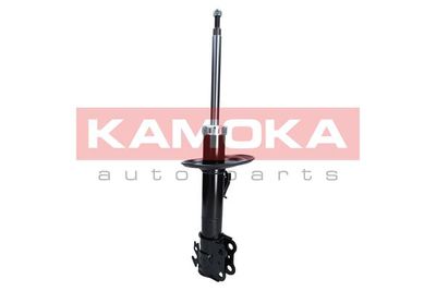  KAMOKA 2000255