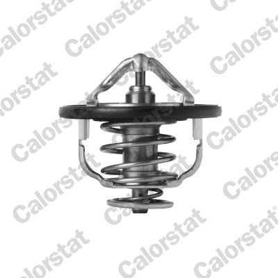 Termostats, Dzesēšanas šķidrums CALORSTAT by Vernet TH7399.85J