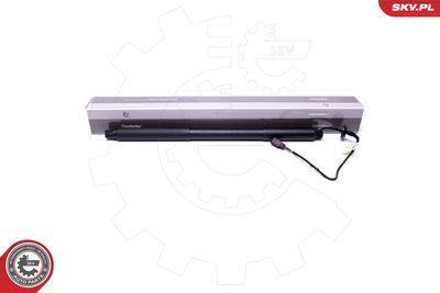 Электромотор, задняя дверь ESEN SKV 52SKV940