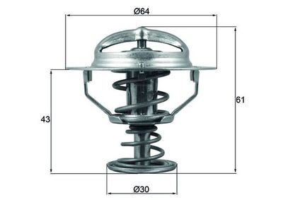 Термостат, охлаждающая жидкость MAHLE TX 178 78D