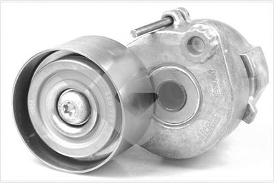 Натяжитель ремня, клиновой зубча HUTCHINSON TK043
