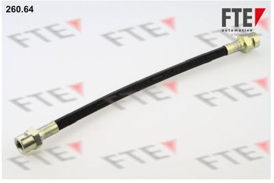 Тормозной шланг FTE 9741016