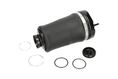 Pneimoatspere, Balstiekārta KAVO PARTS SAS-10004