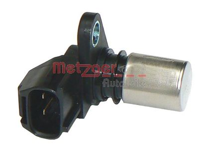  METZGER 0902171