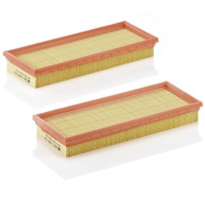 Воздушный фильтр MANN-FILTER C 3170/1-2