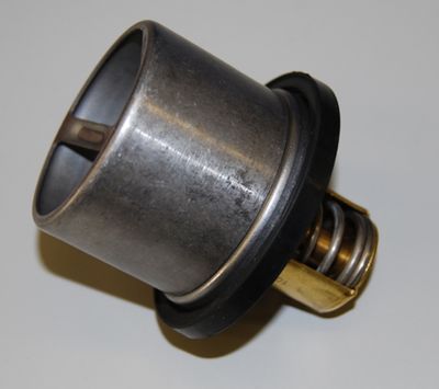 Termostats, Dzesēšanas šķidrums BorgWarner (Wahler) 4619.65D
