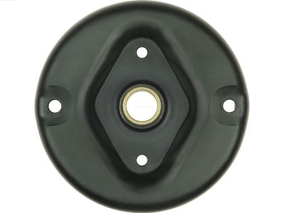 Palaišanas ierīces vāks, Karburators AS-PL SBR0143S