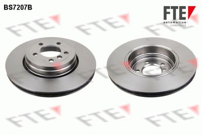 Тормозной диск FTE 9081198