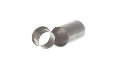 Čaula SKF 99096