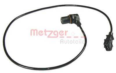  METZGER 0902244
