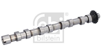 Sadales vārpsta FEBI BILSTEIN 199962