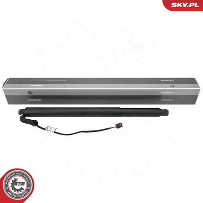 Электромотор, задняя дверь ESEN SKV 52SKV206