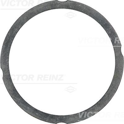 Прокладка, головка цилиндра VICTOR REINZ 61-25475-60