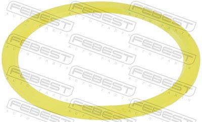 Blīve, Diferenciālis FEBEST 1699-W463OS