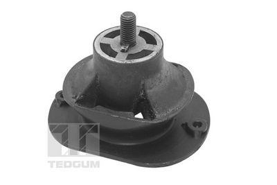Piekare, Dzinējs TEDGUM TED40521