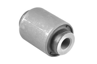 Piekare, Šķērssvira TEDGUM 00649577