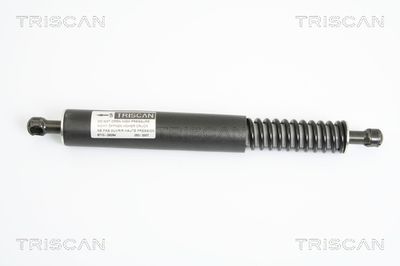Gāzes atspere, Bagāžas/Kravas nodalījuma vāks TRISCAN 8710 29264