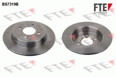 Bremžu diski FTE 9082249