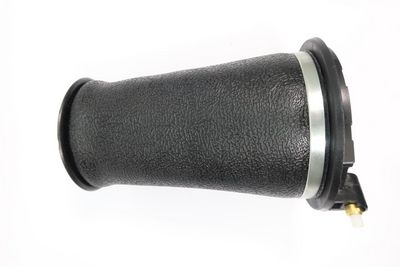 Pneimoatspere, Balstiekārta MONROE ASP037