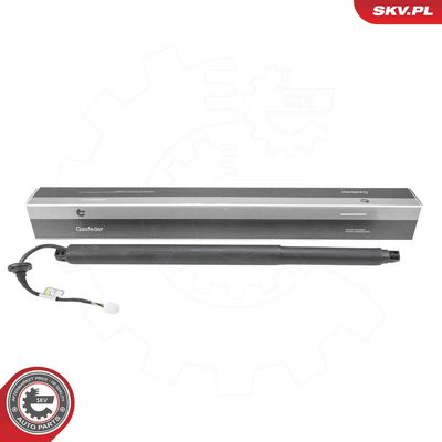 Электромотор, задняя дверь ESEN SKV 52SKV233