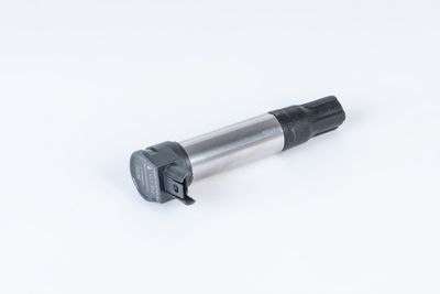 Aizdedzes spole BorgWarner (BERU) ZSE255