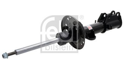 Amortizators FEBI BILSTEIN 1002500