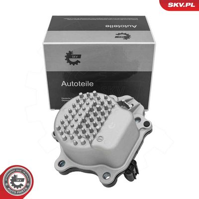 Ūdens sūknis, dzinēja dzesēšana ESEN SKV 22SKV092