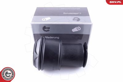 Pneimoatspere, Balstiekārta ESEN SKV 58SKV023