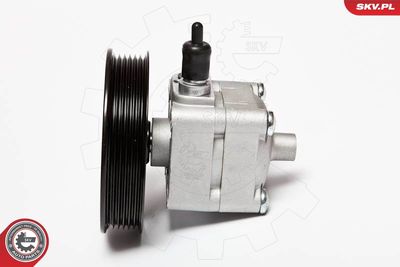 Hidrosūknis, Stūres iekārta ESEN SKV 10SKV033