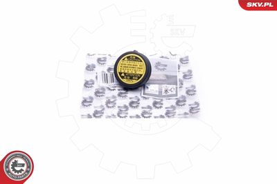 Vāciņš, Dzesēšanas šķidruma rezervuārs ESEN SKV 61SKV008