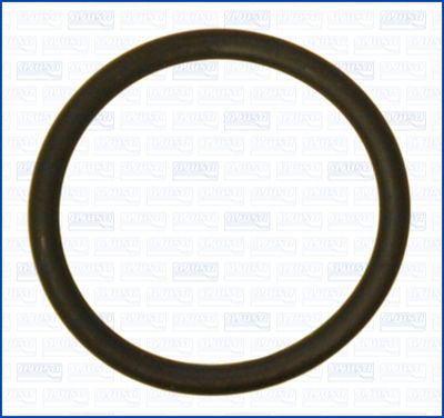 Blīve, Termostats AJUSA 16560300