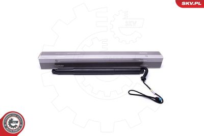 Электромотор, задняя дверь ESEN SKV 52SKV935