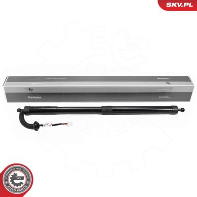 Электромотор, задняя дверь ESEN SKV 52SKV295