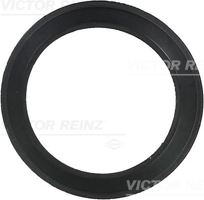 Blīve, Ieplūdes kolektora korpuss VICTOR REINZ 71-36061-00