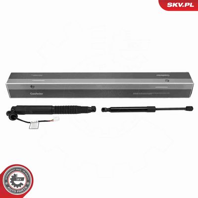 Электромотор, задняя дверь ESEN SKV 52SKV244