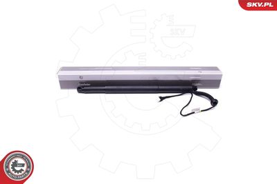 Электромотор, задняя дверь ESEN SKV 52SKV936