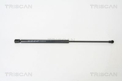 Gāzes atspere, Bagāžas/Kravas nodalījuma vāks TRISCAN 8710 66201